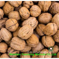 Taste fresco dolce e croccanti pezzi di noci